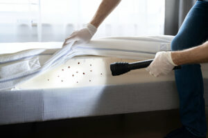 Early Signs of Bed Bugs