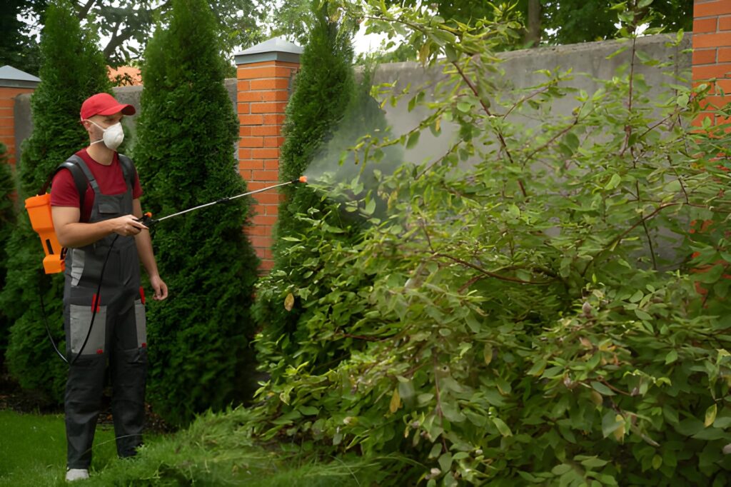 Cost Of Pest Control