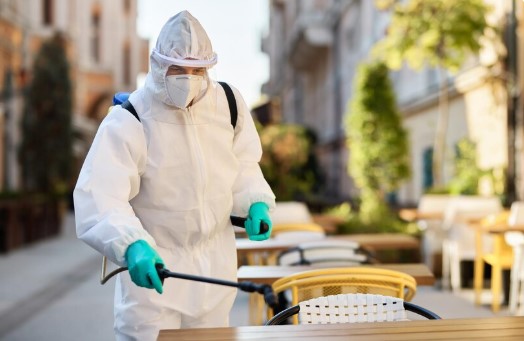 Common Household Pests