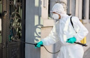 Local Pest Control Experts