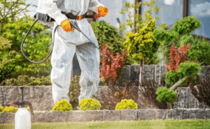 Green Pest Control